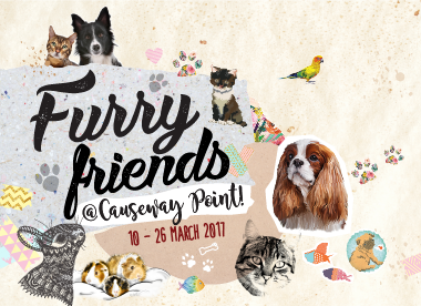 Calling All Pet Lovers To Causeway Point