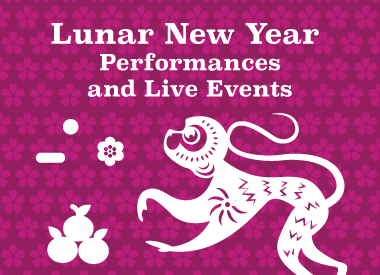 Lunar New Year Performances & Live Events